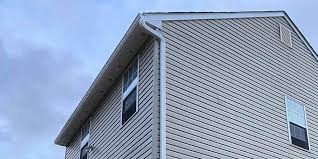 Best Siding Painting and Refinishing  in Cuero, TX